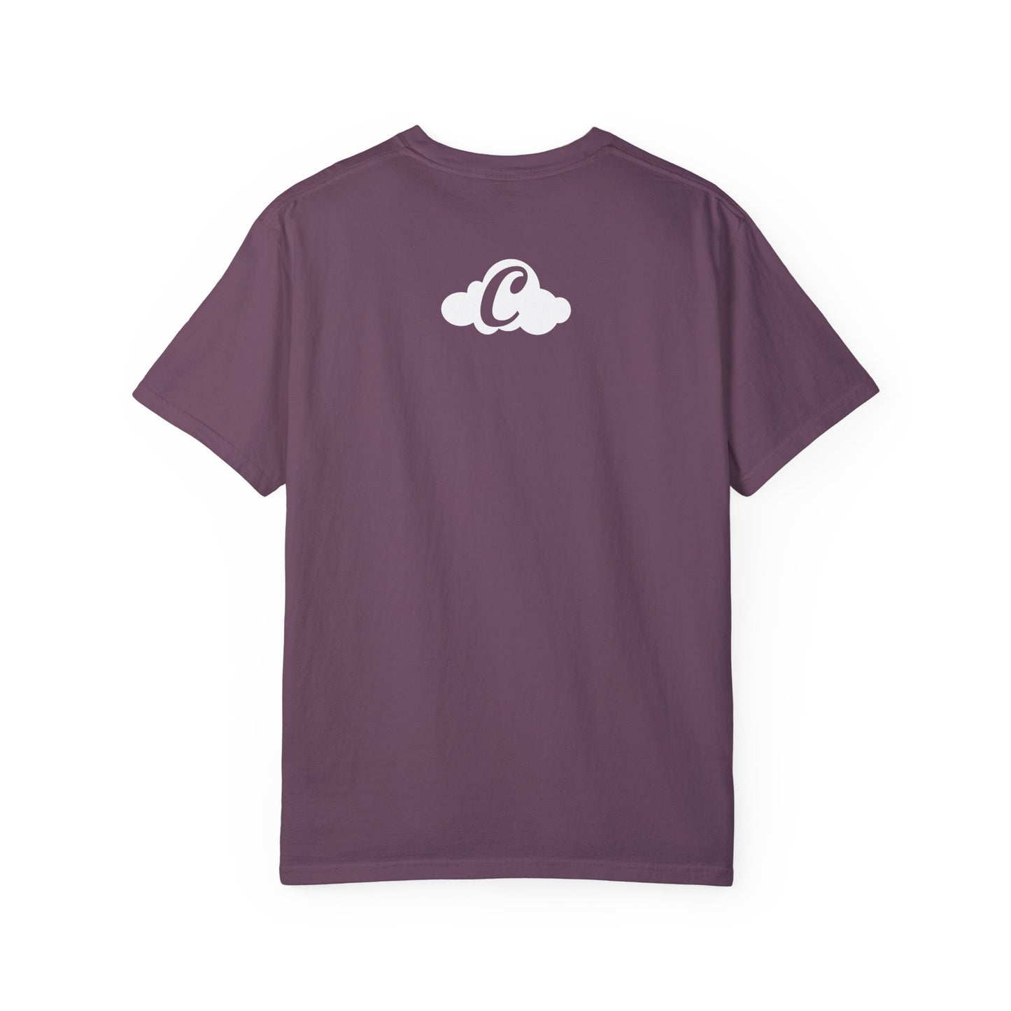 PDA Motto Tee